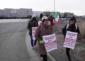 Workers picket outside JBS Swift beef plant during Colorado strike - AP Photo/Brittany Peterson