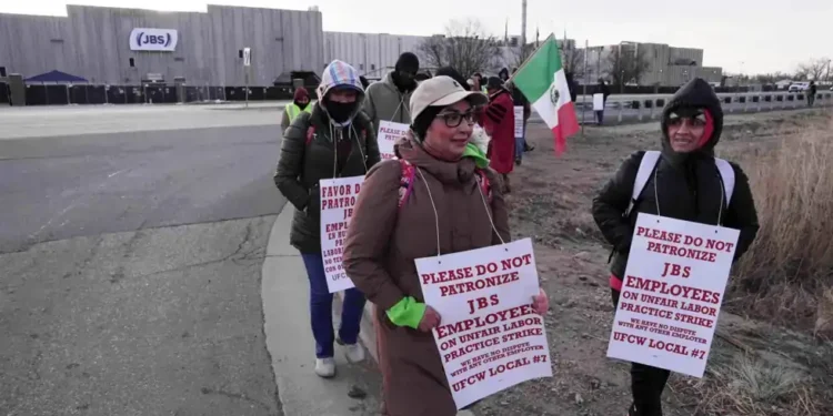 Workers picket outside JBS Swift beef plant during Colorado strike - AP Photo/Brittany Peterson