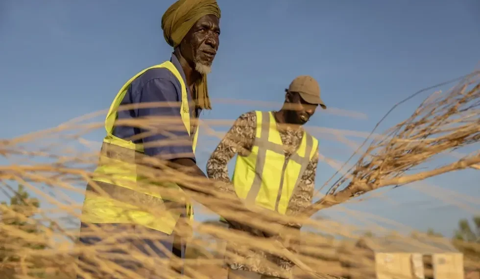 Refugee firefighters training to combat bushfires near Mbera camp in Mauritania - AP Photo/Caitlin Kelly