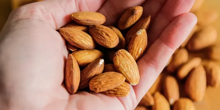 Selection of nutrient-dense leafy greens nuts and seeds - Credit: Getty Images