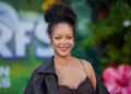 Police investigate gunfire outside Rihanna Beverly Hills home gate - Photo by Jordan Strauss/Invision/AP, File