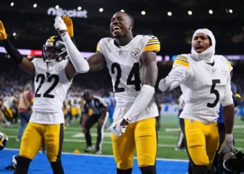 Steelers and Lions players react after overturned touchdown call - AP Photo/Ryan Sun