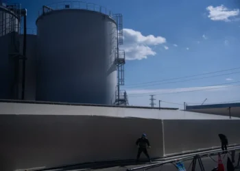 Nuclear power plant expansion driven by global energy supply disruptions - AP Photo/Louise Delmotte, File