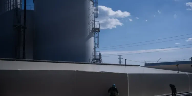 Nuclear power plant expansion driven by global energy supply disruptions - AP Photo/Louise Delmotte, File