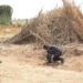 Nigerian village shaken after nearby US airstrike operation - AP Photo/Tunde Omolehin, File