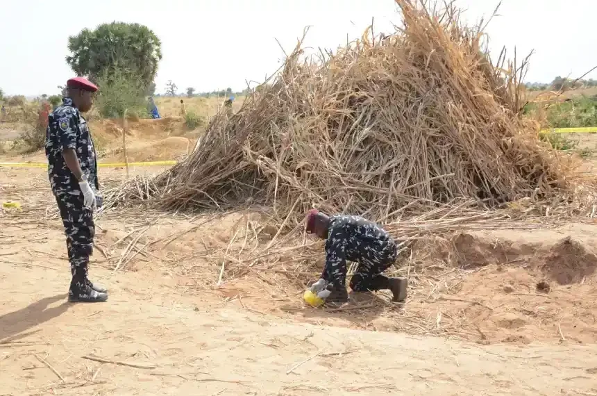 Nigerian village shaken after nearby US airstrike operation - AP Photo/Tunde Omolehin, File