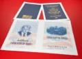 Commemorative US passport design linked to 250th anniversary celebrations - AP Photo/jon Elswick