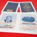Commemorative US passport design linked to 250th anniversary celebrations - AP Photo/jon Elswick