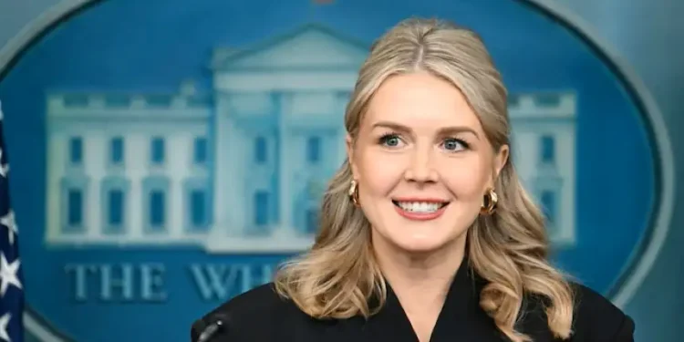 White House press secretary Karoline Leavitt during official media briefing - Jim Watson/AFP via Getty Images