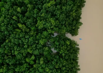 Aerial view of the Amazon rainforest in Brazil during conservation efforts - AP Photo/Eraldo Peres, File