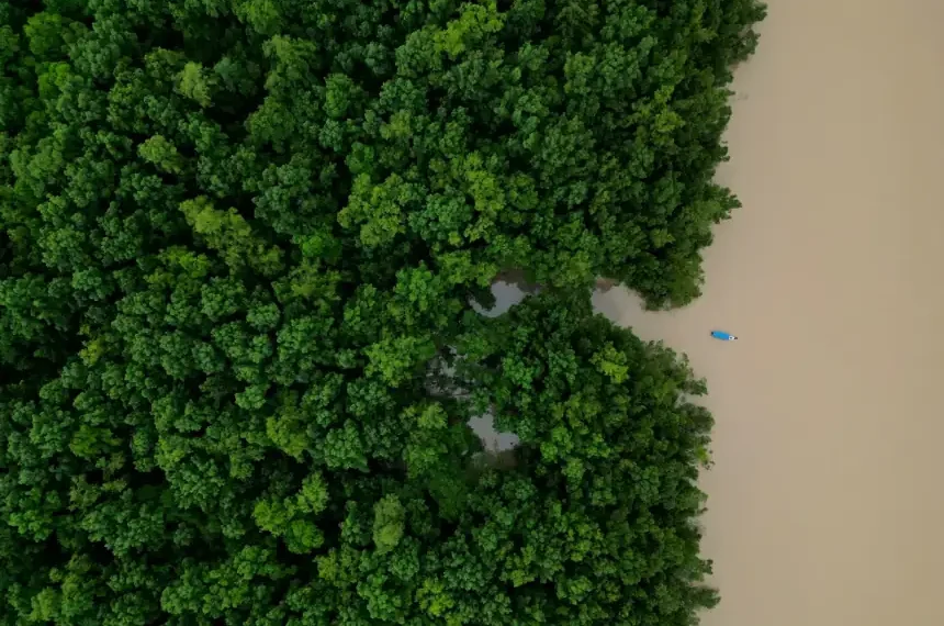 Aerial view of the Amazon rainforest in Brazil during conservation efforts - AP Photo/Eraldo Peres, File