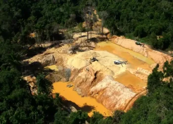 Illegal gold mining activity causing deforestation in Brazil’s Amazon rainforest - AP Photo/Edmar Barros, File