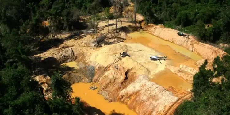 Illegal gold mining activity causing deforestation in Brazil’s Amazon rainforest - AP Photo/Edmar Barros, File