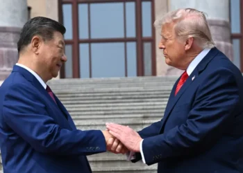 Donald Trump and Xi Jinping during bilateral talks in Beijing - Kenny Holston/Pool Photo via AP