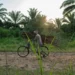Civilians flee violence after militant attacks in eastern Congo villages - AP Photo/Jerome Delay, file