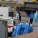 Rodent carrier spreading hantavirus in enclosed contaminated environment- AP Photo/Misper Apawu