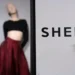 Shein and Everlane logos representing proposed fashion industry acquisition - AP Photo/Aurelien Morissard, File