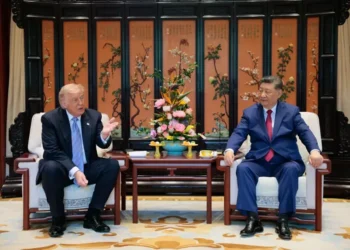 Donald Trump and Xi Jinping during talks over Taiwan and US-China relations - Evan Vucci/Pool Photo via AP