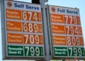 Donald Trump discusses federal gasoline tax suspension at White House - AP Photo/Damian Dovarganes