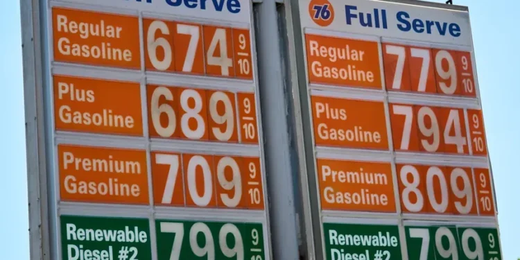 Donald Trump discusses federal gasoline tax suspension at White House - AP Photo/Damian Dovarganes