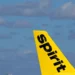 Donald Trump speaking as Spirit Airlines aircraft sits on runway - AP Photo/wilfredo Lee, File