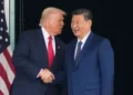 Donald Trump and Xi Jinping ahead of Beijing summit talks - AP Photo/Mark Schiefelbein, File