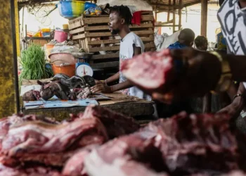 Bushmeat vendors operate at a market in Kinshasa, Congo - AP Photo/Samy Ntumba Shambuyi