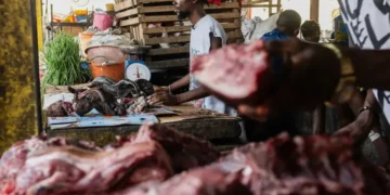 Bushmeat vendors operate at a market in Kinshasa, Congo - AP Photo/Samy Ntumba Shambuyi
