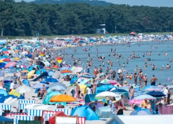 People seek shade during record-breaking heat across European cities - Stefan Sauer/dpa via AP