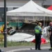 Emergency responders at the site of a fatal aircraft crash in eastern France. - Christian Hartmann/Reuters