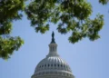 U.S. House lawmakers vote on Ukraine aid legislation - AP Photo/Allison Robbert