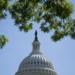 U.S. House lawmakers vote on Ukraine aid legislation - AP Photo/Allison Robbert