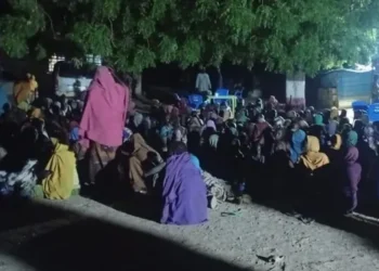 Nigerian soldiers during rescue operation in northeastern Nigeria - Nigerian Army via AP
