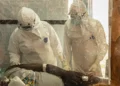 Healthcare workers at an Ebola treatment center during Congo clinical trial - AP Photo/Moses Sawasawa, File