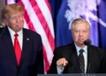 Senator Lindsey Graham with President Donald Trump during a White House event - AP Photo/Alex Brandpn, File