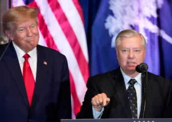 Senator Lindsey Graham with President Donald Trump during a White House event - AP Photo/Alex Brandpn, File