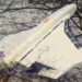 A Russian Gerbera drone displayed after being downed by Ukrainian border guards in Ukraine's Sumy region during a reported drone attack.