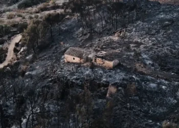 Firefighters battle a large wildfire in Almería province, southern Spain. - AP Photo/Gregorio Marrero