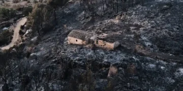 Firefighters battle a large wildfire in Almería province, southern Spain. - AP Photo/Gregorio Marrero