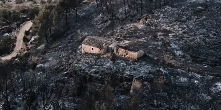 Firefighters battle a large wildfire in Almería province, southern Spain. - AP Photo/Gregorio Marrero