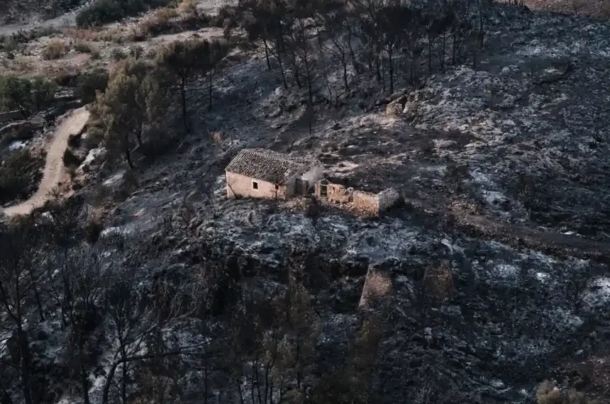Firefighters battle a large wildfire in Almería province, southern Spain. - AP Photo/Gregorio Marrero