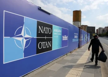 Donald Trump attends the NATO summit in Turkey for high-level diplomatic meetings. - AP Photo/Riza Ozel