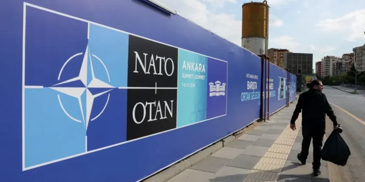 Donald Trump attends the NATO summit in Turkey for high-level diplomatic meetings. - AP Photo/Riza Ozel