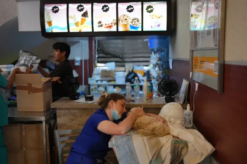 Veterinarians treat a rescued dog inside a McDonald's after Venezuela's earthquake. - AP Photo/Matias Delacroix