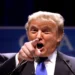Donald Trump speaks at the Conservative Political Action Conference in Washington, D.C., in 2011 during a political address.