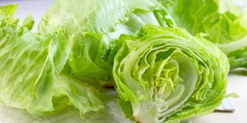 Fresh iceberg lettuce displayed for sale at a grocery store during the CDC investigation into a multistate Cyclospora outbreak linked to recalled lettuce.