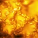 High-resolution image of the Sun's photosphere captured by the NSF Daniel K. Inouye Solar Telescope, revealing fine magnetic structures and plasma patterns linked to Kelvin-Helmholtz instability.