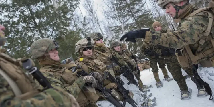 U.S. Marines prepare for a reconnaissance patrol during a joint cold-weather military exercise in Burwash, Ontario, Canada.
