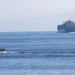 USCGC Aquidneck transits the Strait of Hormuz during U.S. naval operations on December 2, 2020.