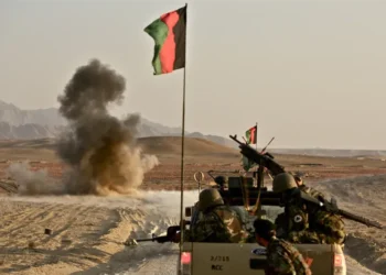Afghan Army bomb disposal team neutralizes an improvised explosive device in Sangin, Helmand, Afghanistan, on November 4, 2012.